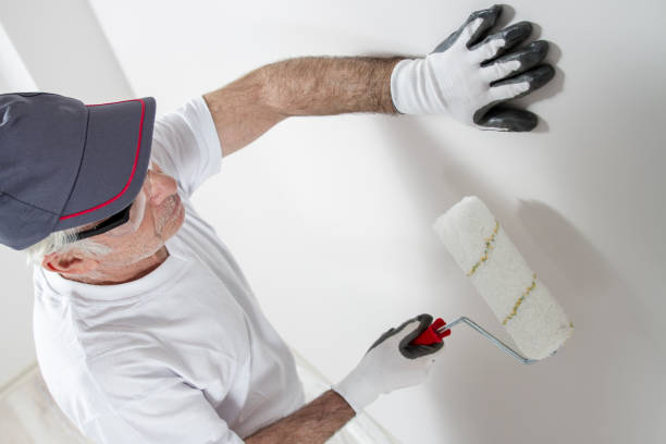 Best Fire-Damaged Drywall Repair  in Fernandina Beach, FL